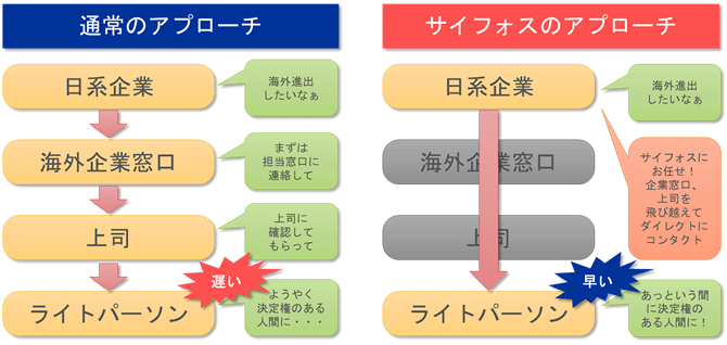 サイフォスジャパンの強み Jp Xiphos Japan